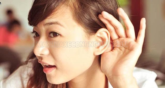 Thảo Mai Là Gì? Những Dấu Hiệu Nhận Biết Người Thảo Mai