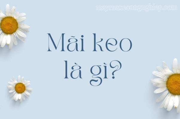 mãi keo là gì - Máy Rửa Xe Công Nghiệp