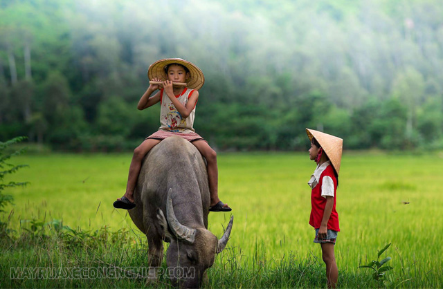 câu nói hay về tình yêu quê hương - Máy Rửa Xe Công Nghiệp