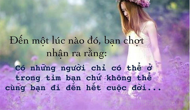 stt hay về tình yêu dang dở - Máy Rửa Xe Công Nghiệp