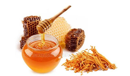công dụng của đông trùng hạ thảo ngâm mật ong