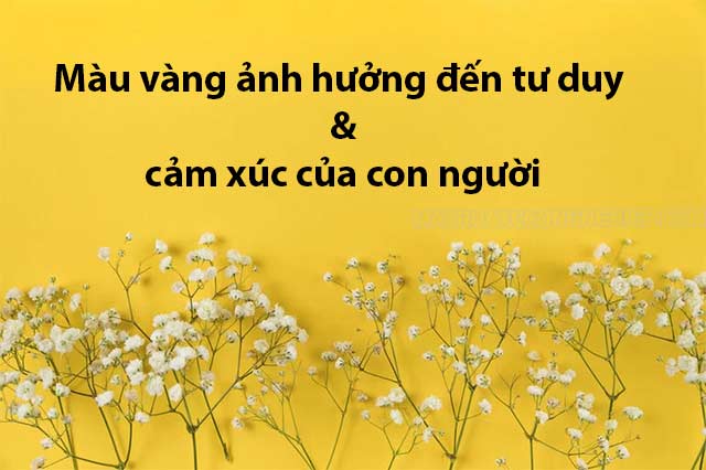 Màu vàng có ảnh hưởng đến sự tập trung của con người