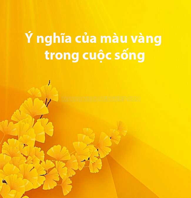 Ý nghĩa của màu vàng trong các khía cạnh của cuộc sống