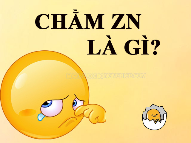 Giải đáp Chằm Zn là gì