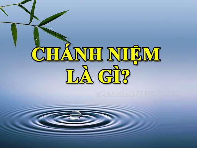 Chánh niệm là gì chính là cội nguồn của hạnh phúc