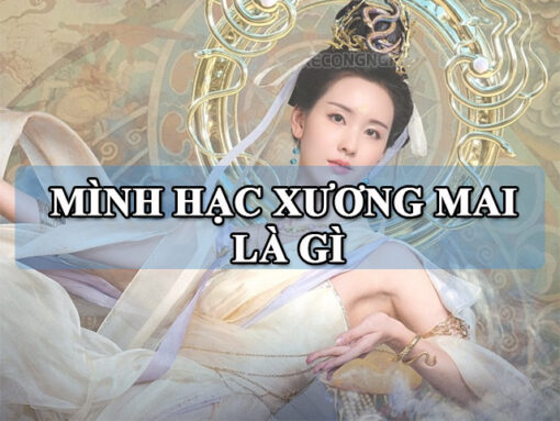 Mình hạc xương mai là gì? Cách để có mình hạc xương mai