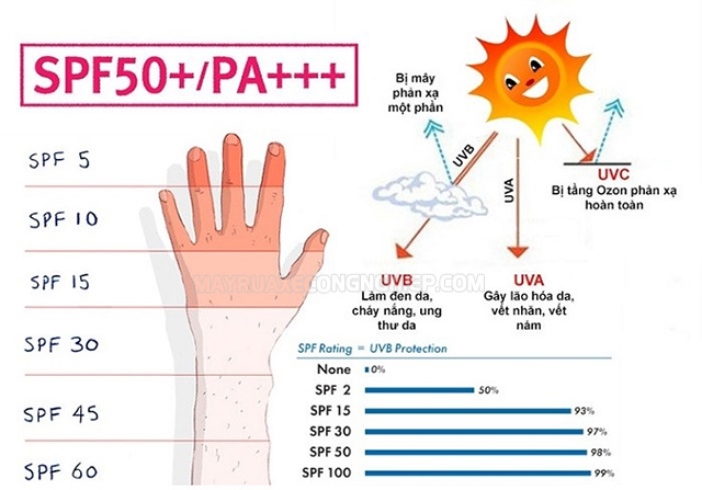 Kem chống nắng SPF 50 PA 4+ được nhiều người dùng ưu ái chọn lựa