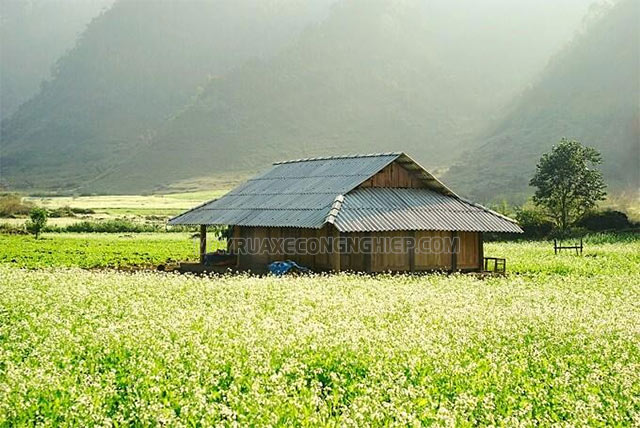 Khung cảnh bình yên khác biệt hoàn toàn nơi thị thành