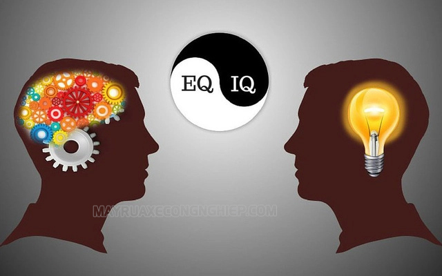 EQ trí tuệ cảm xúc là gì
