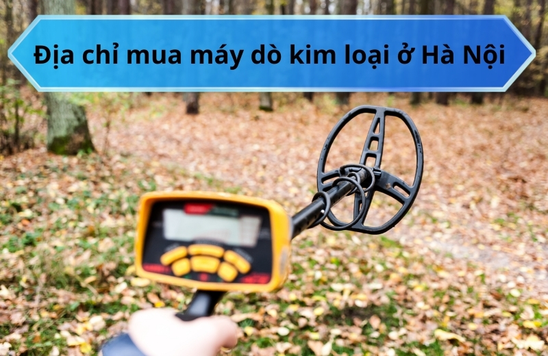 Tìm hiểu địa chỉ mua máy dò kim loại ở Hà Nội